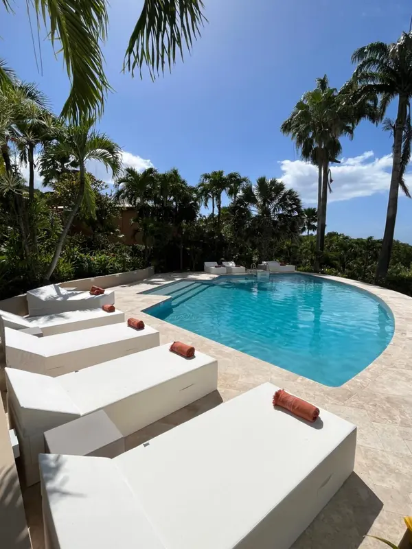 Transats blancs disposés autour d'une piscine rectangulaire sous des palmiers.