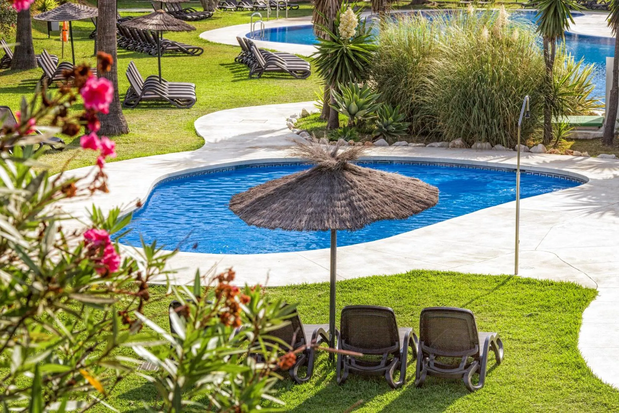 Transats et parasols ombragent une piscine au milieu d'une pelouse verdoyante.