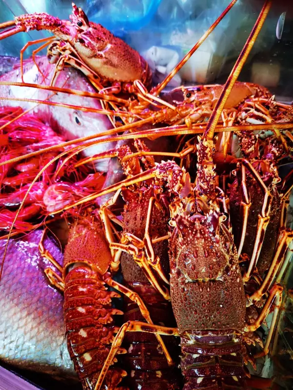 Des langoustes rouges et violettes sont présentées sur un lit de glace.