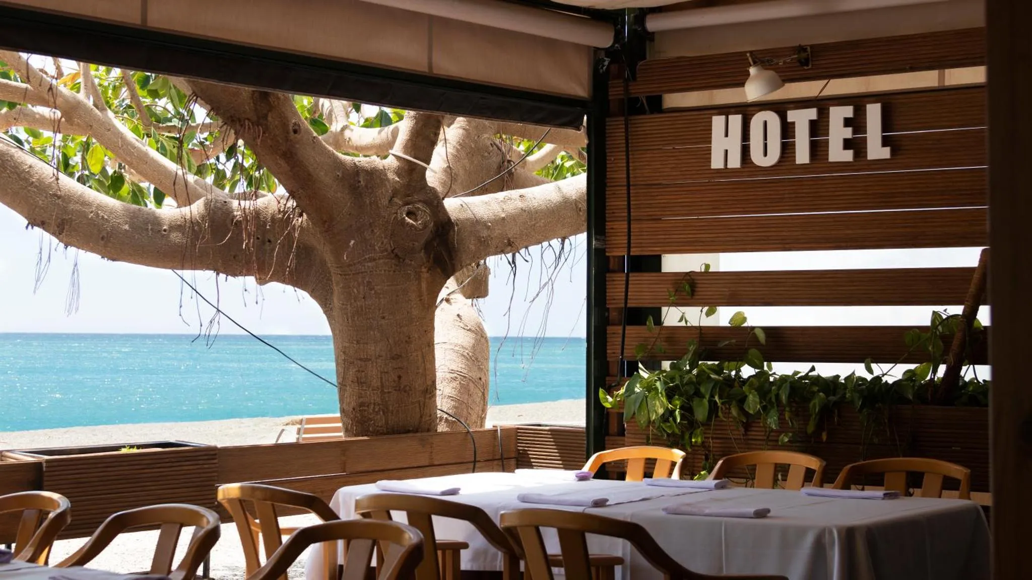 Terrasse ombragée avec tables et chaises donnant sur la mer.