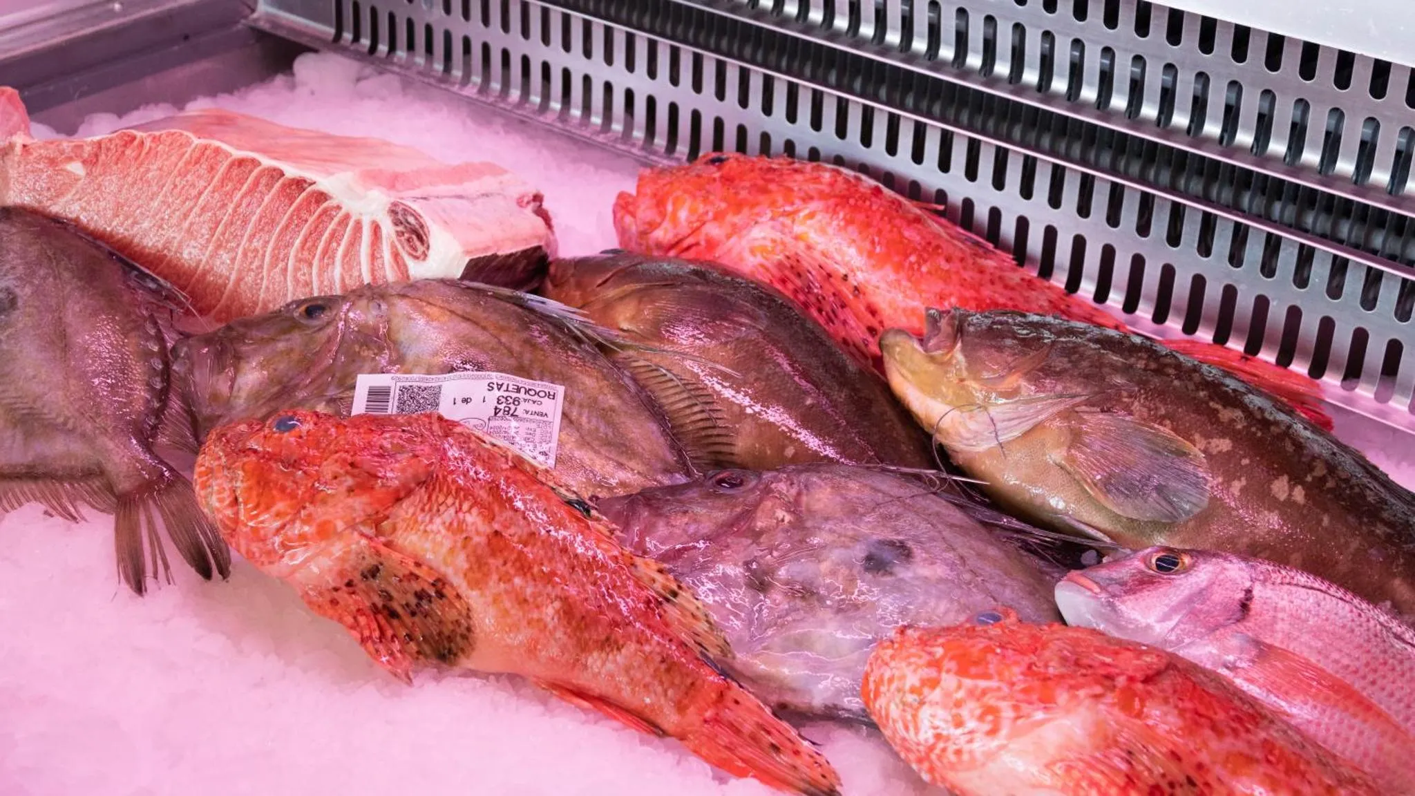 Des poissons frais sont exposés sur de la glace.