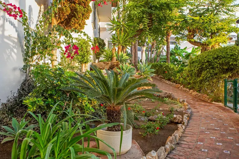 Jardin luxuriant avec allée pavée et végétation tropicale.