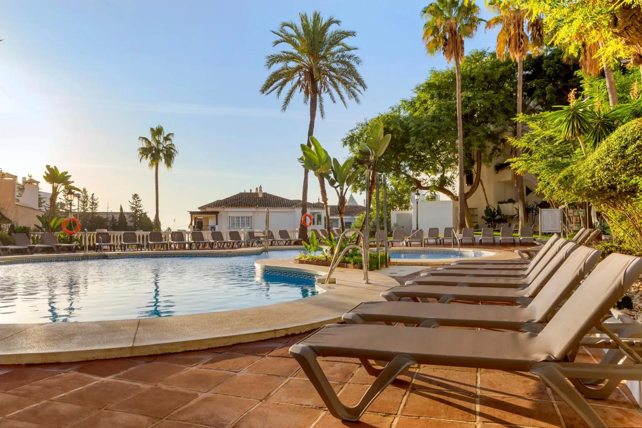 Transats alignés au bord d'une piscine ensoleillée, entourée de végétation tropicale.