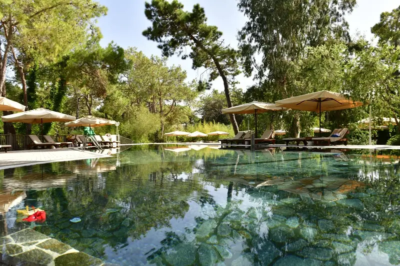 Une piscine turquoise entourée de chaises longues et de parasols sous des arbres verdoyants.
