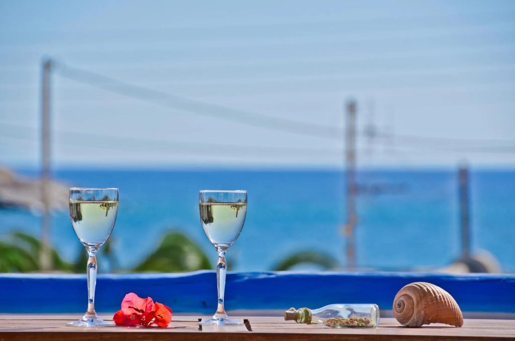 Deux verres à cocktail sont posés sur une table en bois avec des fleurs et un coquillage, face à la mer.