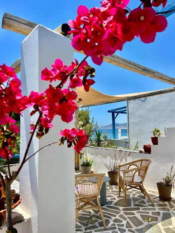 Une terrasse fleurie offre un espace de détente avec des fauteuils en osier et une vue sur la mer.
