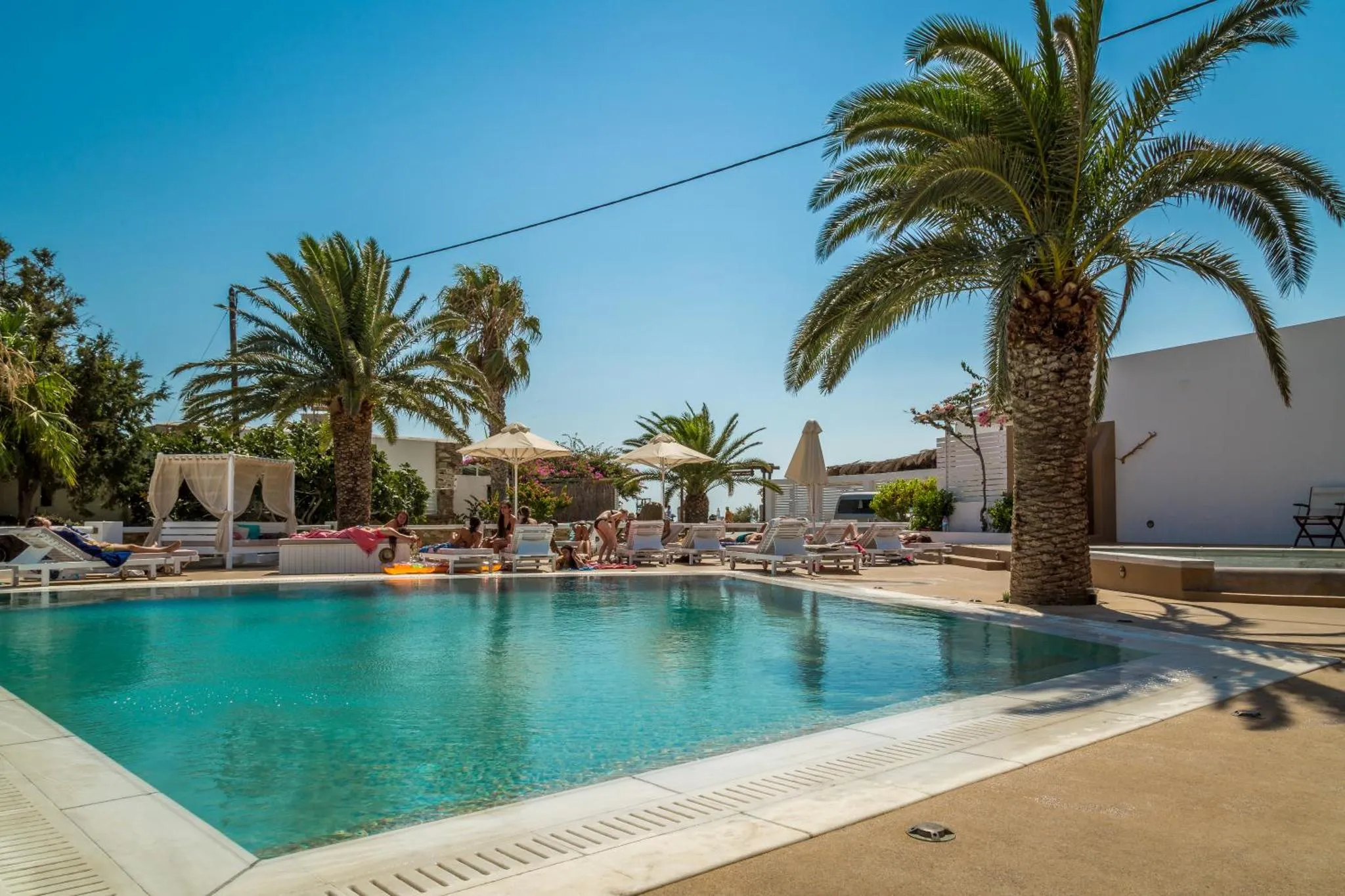 Piscine rectangulaire bordée d'un sol carrelé et entourée de transats et de palmiers.