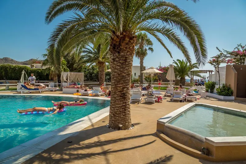 Une piscine bordée de chaises longues et de parasols sous des palmiers.