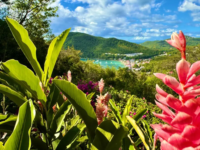 Vue panoramique sur une baie bordée de végétation luxuriante et de montagnes verdoyantes.