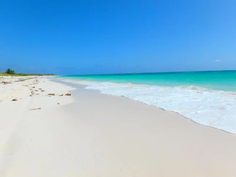 Plage de sable blanc bordée par une eau turquoise et une végétation côtière.