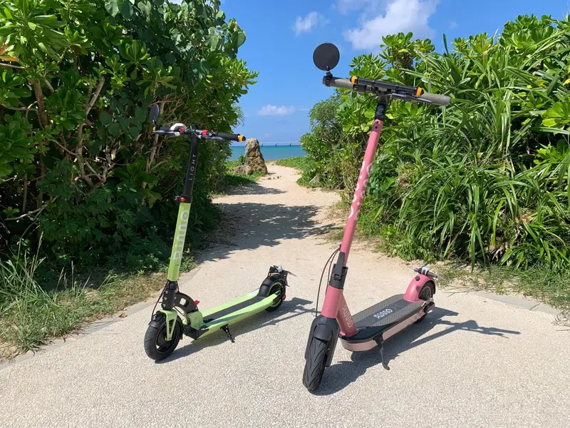 Deux trottinettes électriques stationnées sur un chemin bordé de végétation.