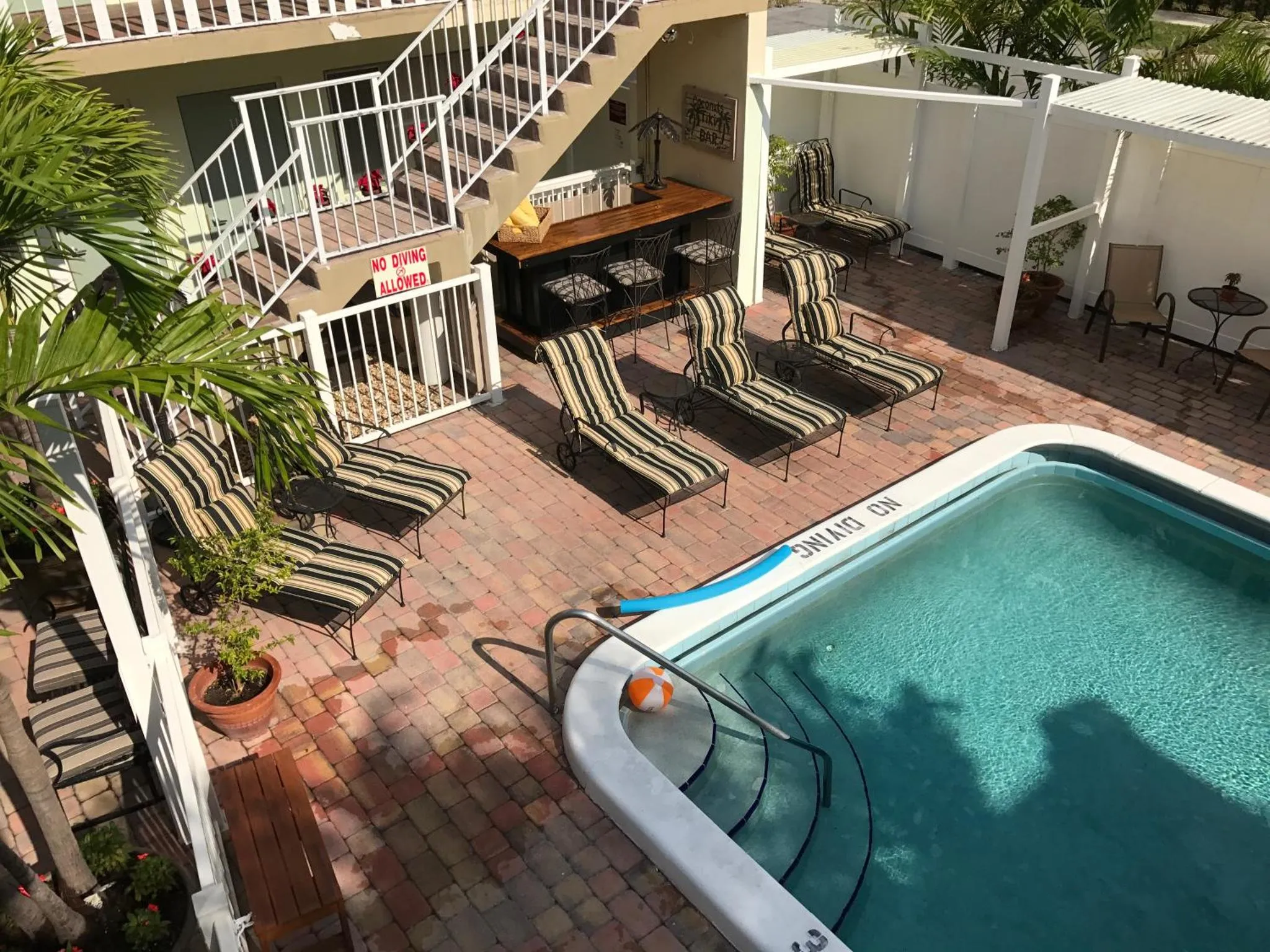 Terrasse avec transats et piscine ensoleillée.