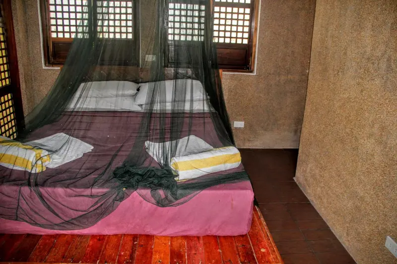 Une chambre avec un lit recouvert d'une moustiquaire et de coussins.