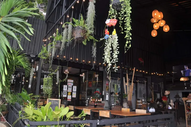 Terrasse ombragée avec tables et végétation suspendue.