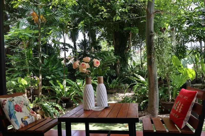 Une table en bois est mise en scène avec des vases et des coussins dans un jardin luxuriant.