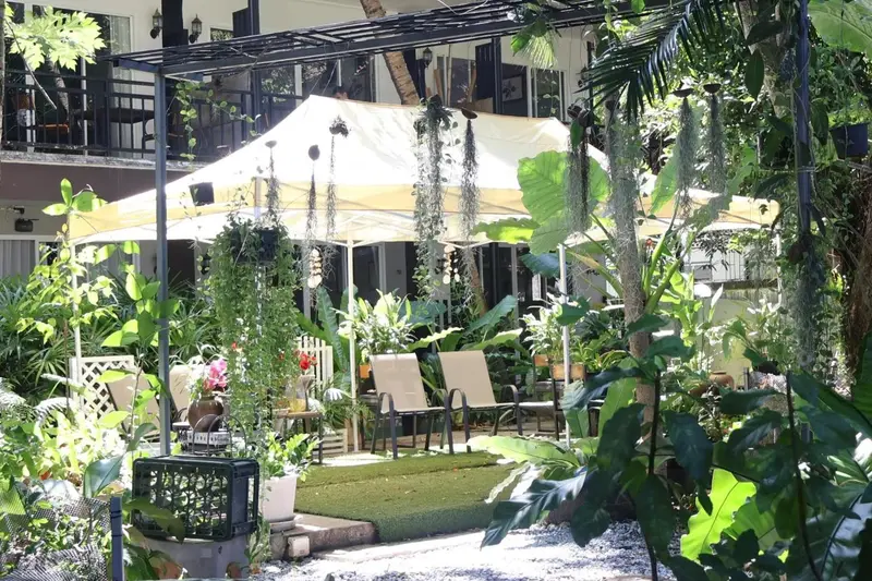 Espace extérieur aménagé avec des transats et des parasols sous une tonnelle végétalisée.