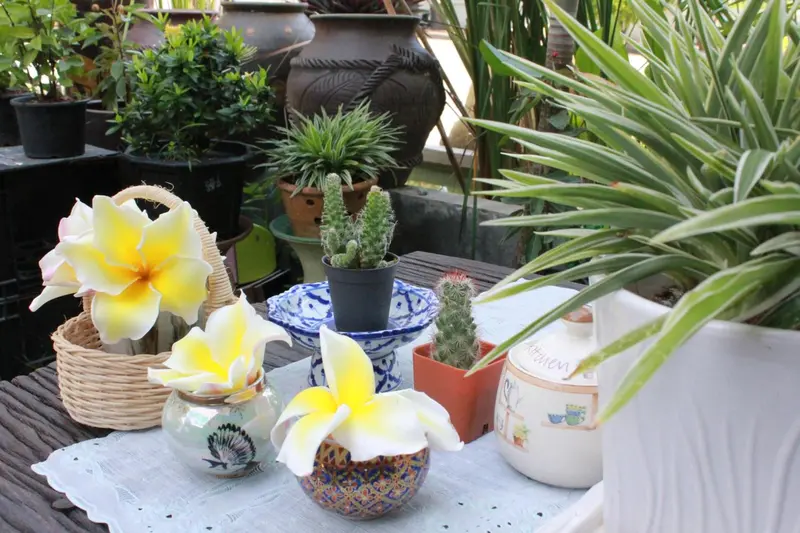 Table décorée de plantes en pot et de fleurs tropicales.