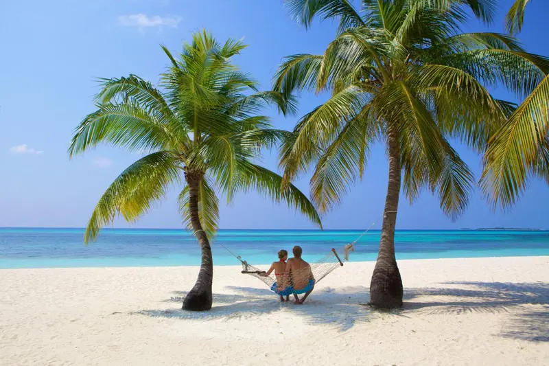 Une vue de plage avec des palmiers et un hamac.