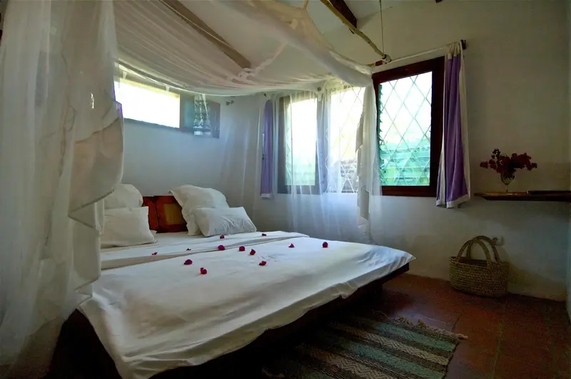 Une chambre lumineuse avec un lit recouvert de moustiquaire et de pétales de fleurs.
