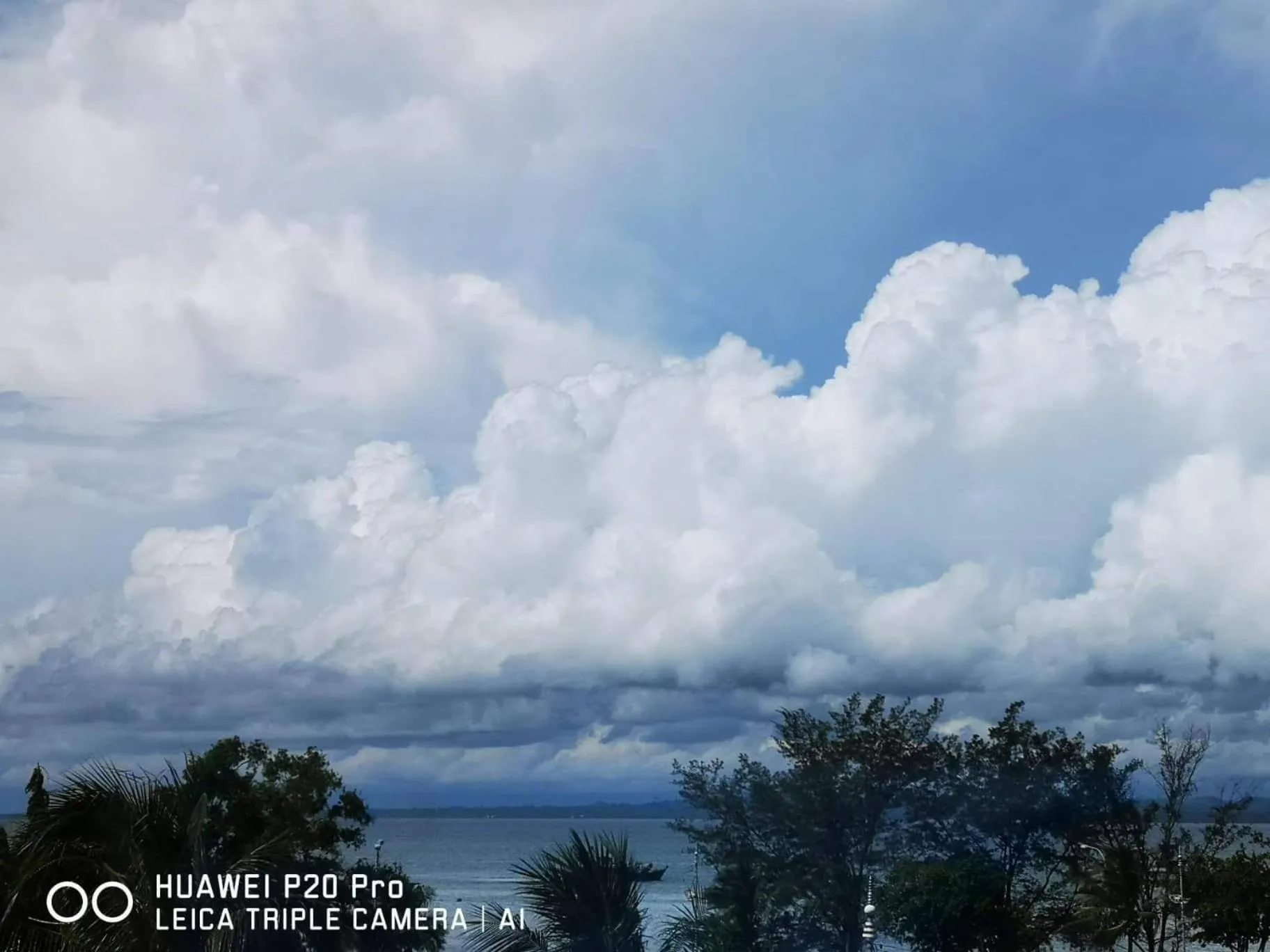 Ciel nuageux au-dessus d'une végétation tropicale et d'une étendue d'eau.