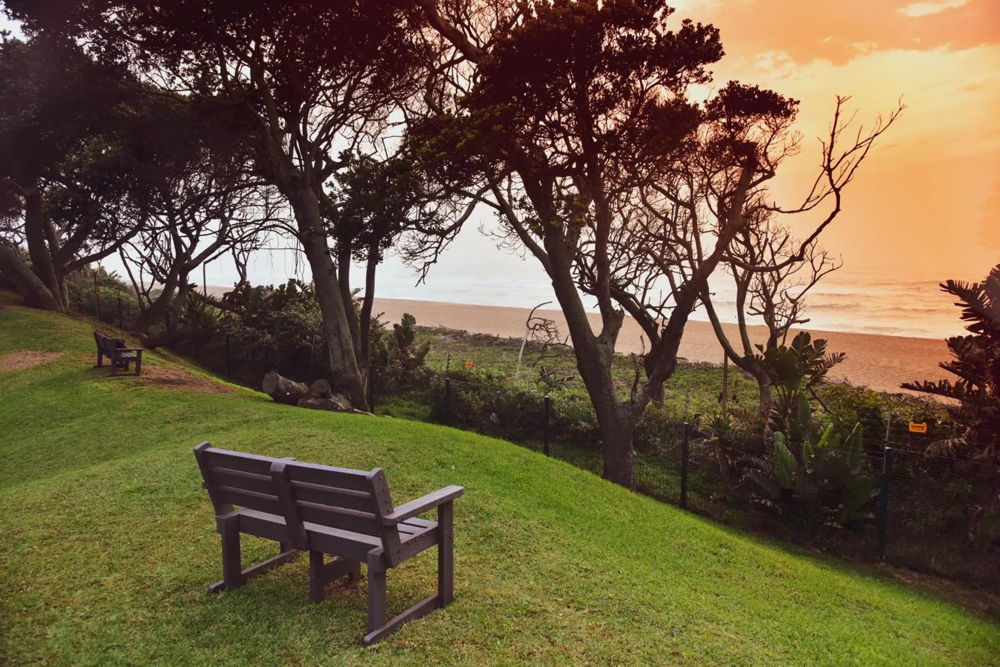 Deux bancs invitent à la détente sur une pelouse verdoyante face à la mer.