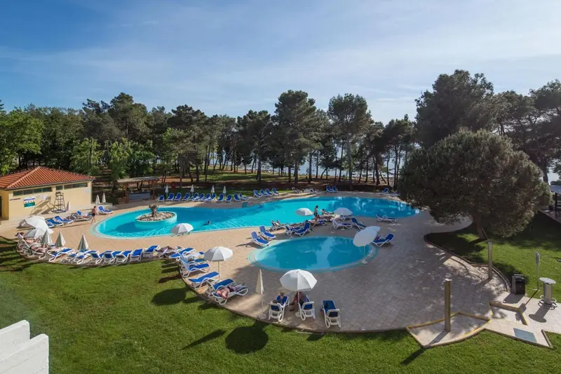 Piscine ensoleillée avec transats bleus et parasols blancs entourée de pelouse et de végétation.
