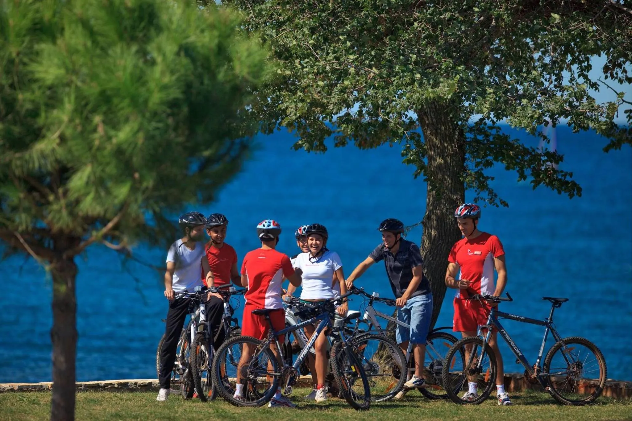 Groupe de personnes à vélo se tenant sur une pelouse en bord de mer.