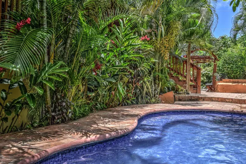 Une piscine bordée d'une végétation luxuriante et d'une terrasse en pierre.