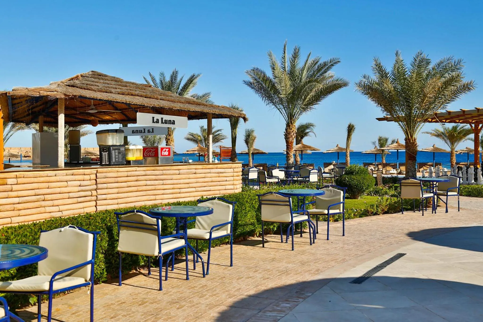 Terrasse ombragée avec tables et chaises près d'un bar en bord de mer.