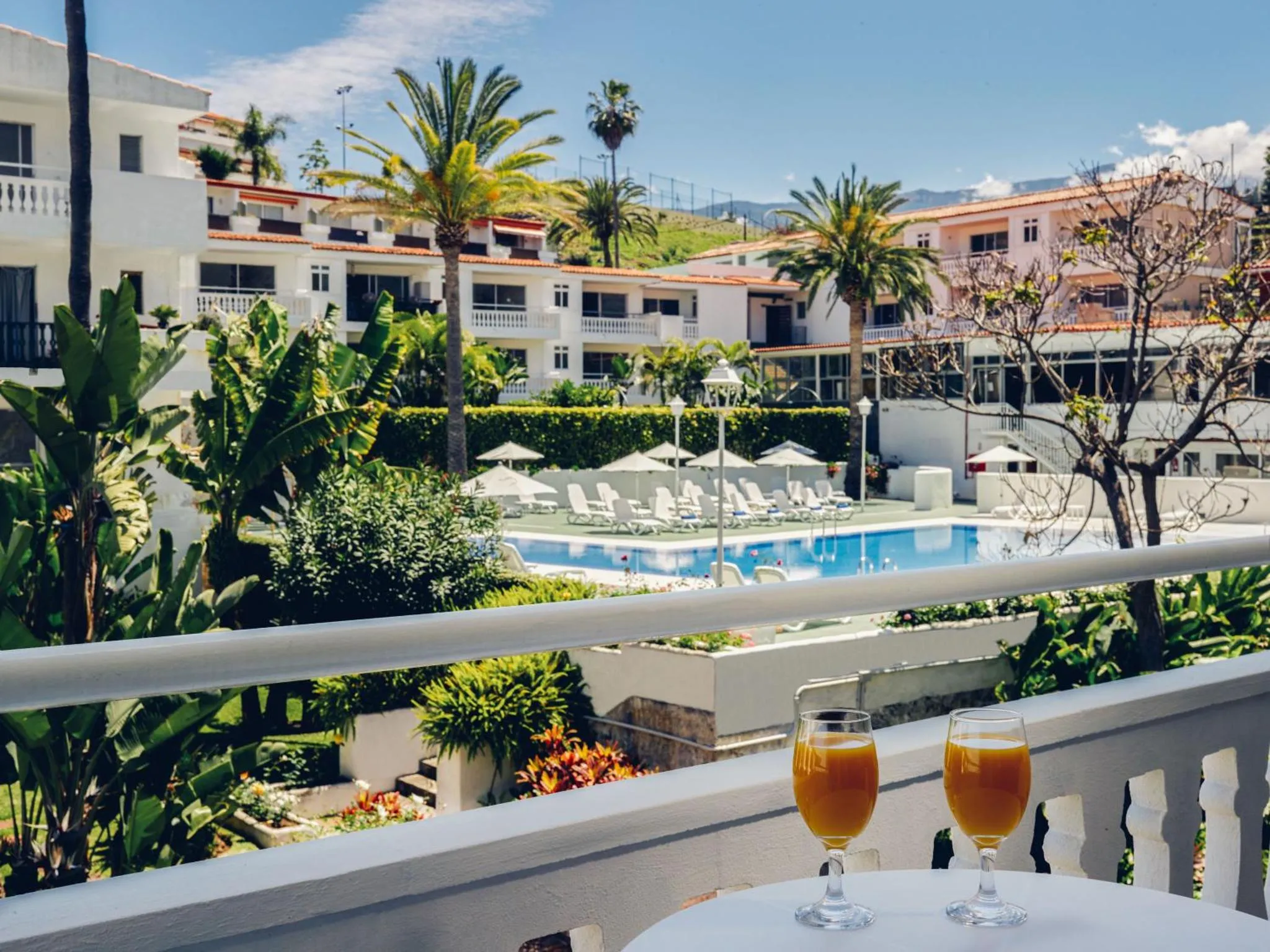 Vue sur une piscine et des palmiers depuis un balcon avec une table et des verres.