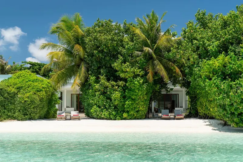 Vue d'une plage de sable blanc bordée de végétation tropicale et de bungalows.