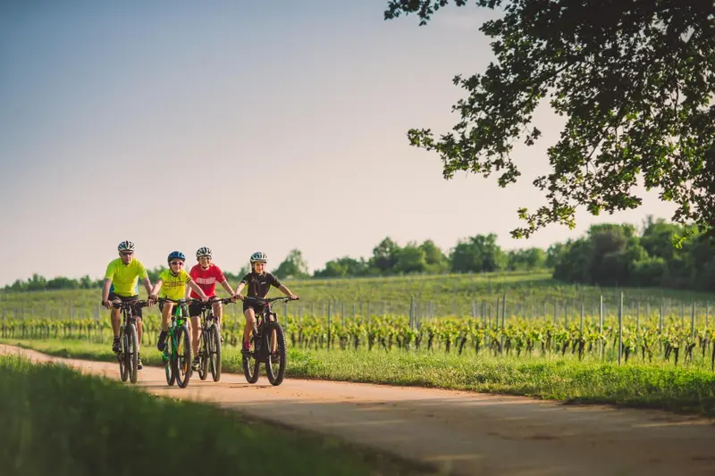 Quatre cyclistes sur une route de campagne ensoleillée.