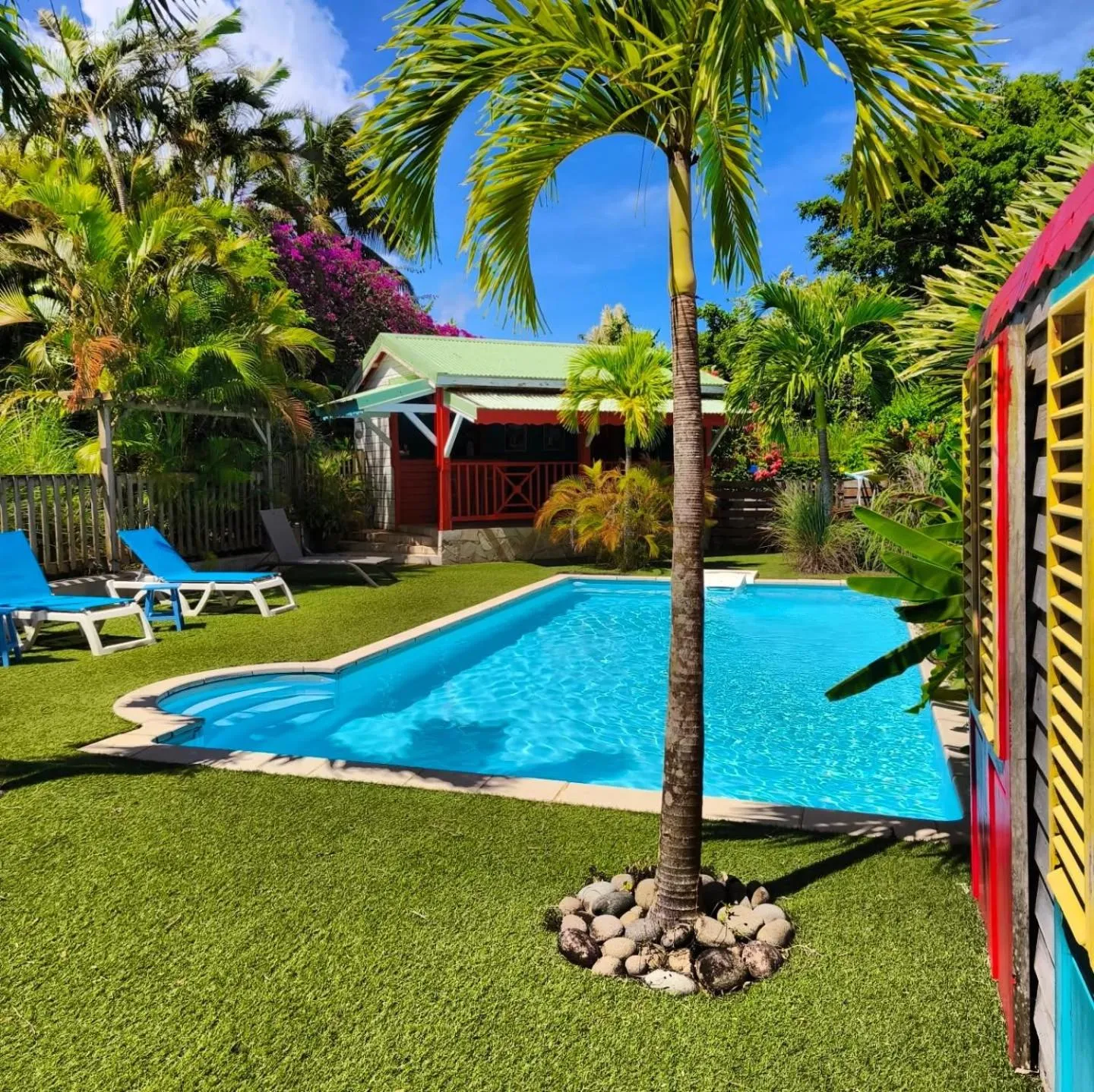 Une piscine rectangulaire bordée de pelouse et de palmiers sous un ciel bleu.