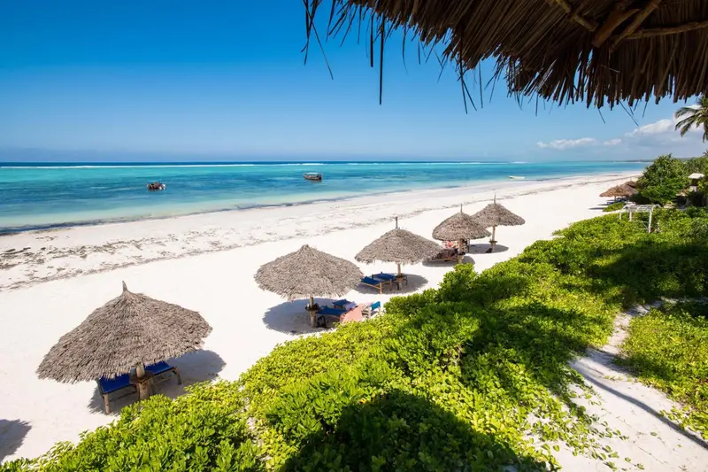 Plage de sable blanc bordée de parasols en chaume et de végétation luxuriante.