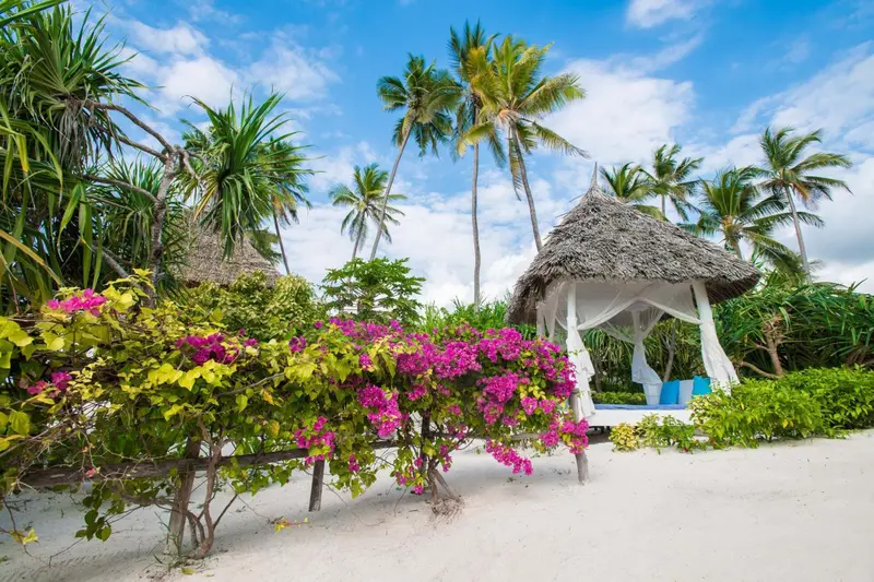 Un abri de plage ombragé se dresse sur le sable blanc, entouré de végétation tropicale.