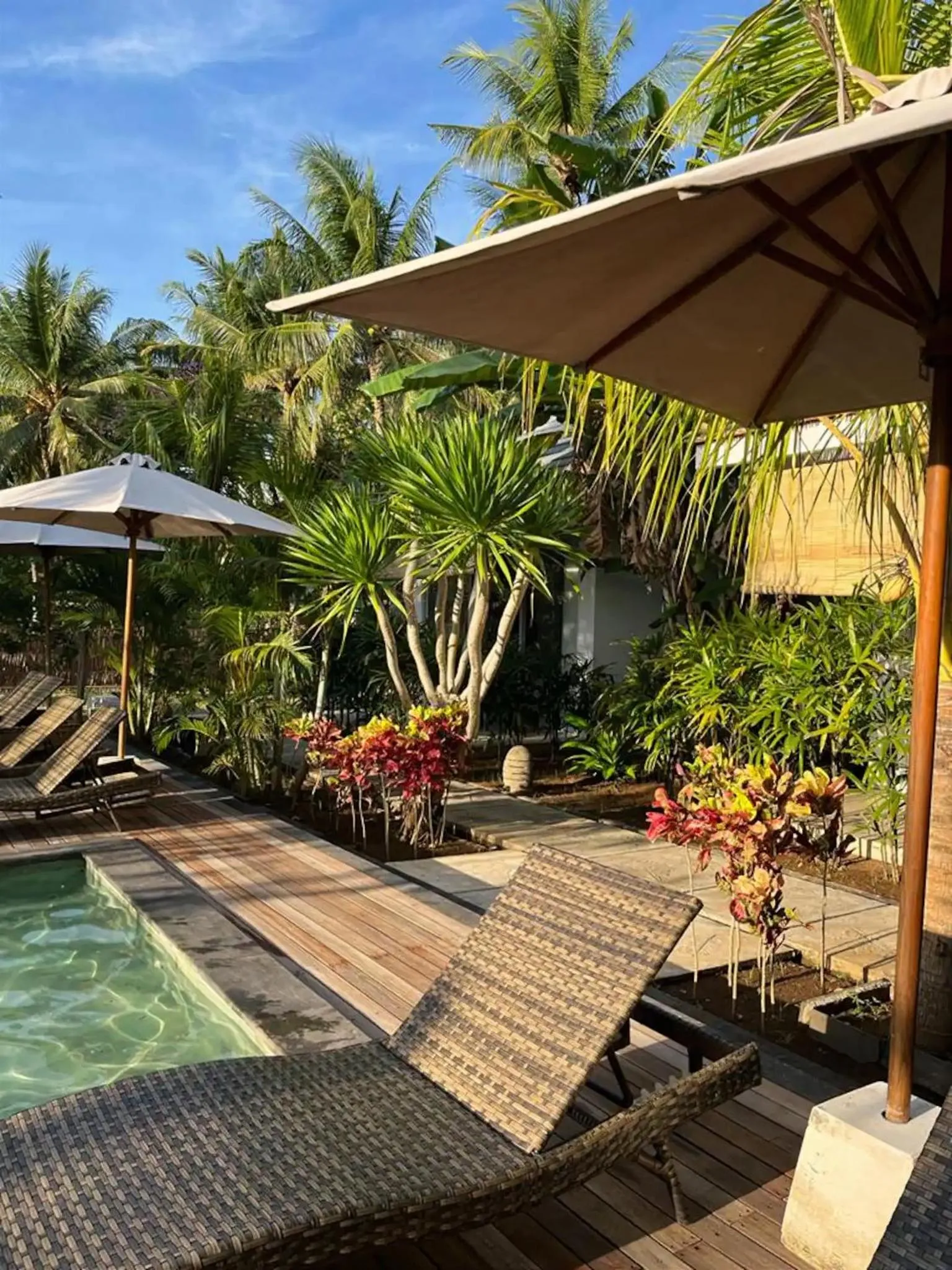 Transats et parasols ombragent une terrasse en bois près d'une piscine.