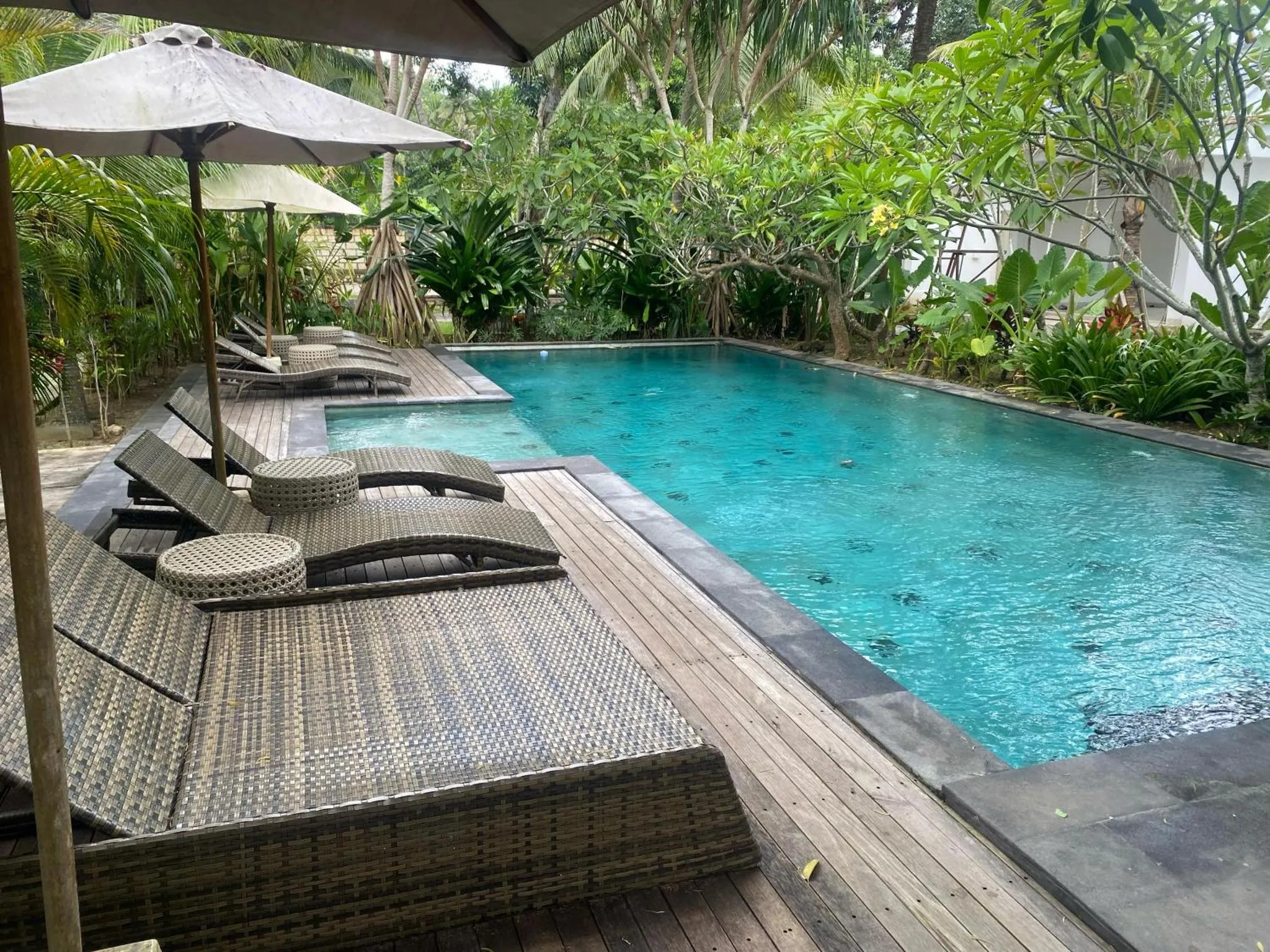 Transats et parasols bordent une piscine rectangulaire turquoise.