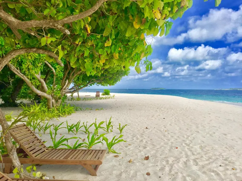 Une chaise longue se trouve sur une plage de sable blanc bordée de végétation tropicale.