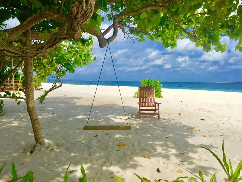 Une balancelle en bois est suspendue à un arbre sur une plage de sable blanc.