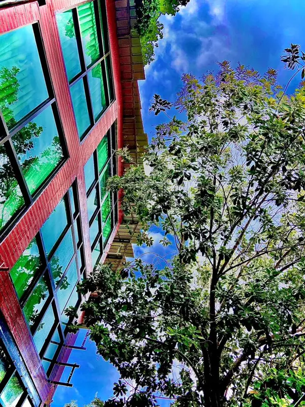 Façade colorée d'un bâtiment moderne avec des reflets verdoyants.