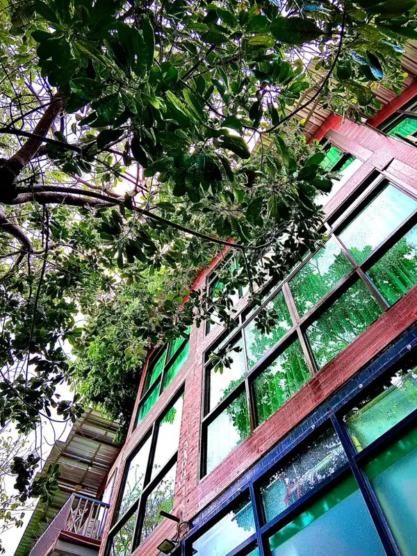 Facade colorée d'un bâtiment entourée de végétation luxuriante.