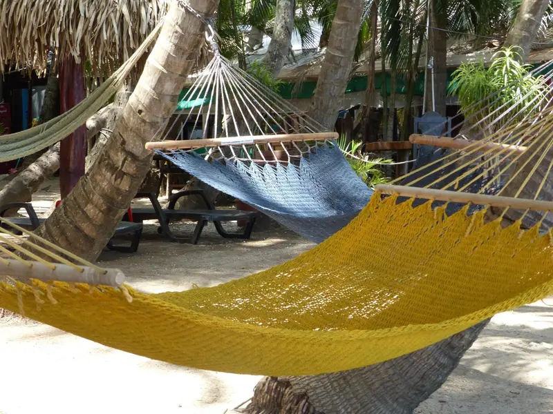 Des hamacs colorés sont suspendus entre des palmiers sur une plage de sable.