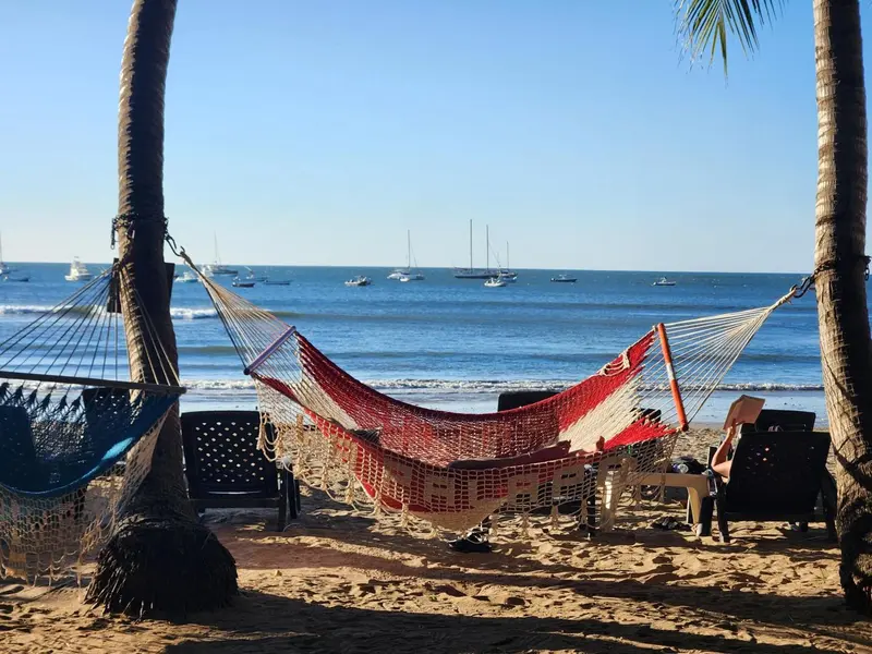 Des hamacs colorés sont tendus entre des palmiers sur une plage de sable.