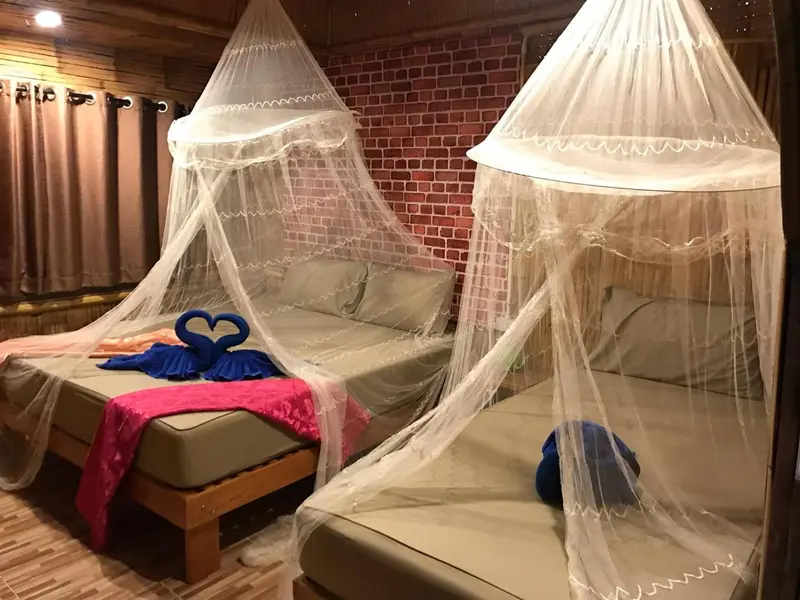 Deux lits simples avec moustiquaires dans une chambre décorée de bois.