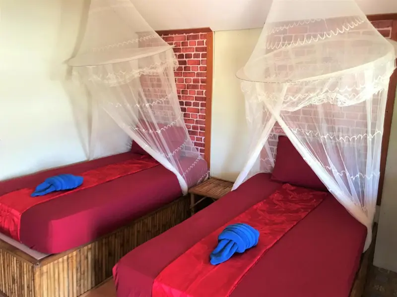 Deux lits simples recouverts de moustiquaires dans une chambre.
