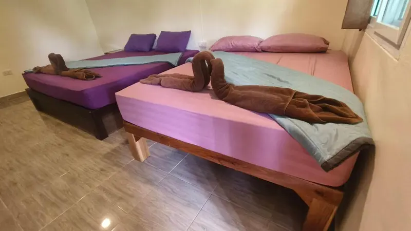 Deux lits jumeaux avec draps violets et roses dans une chambre.