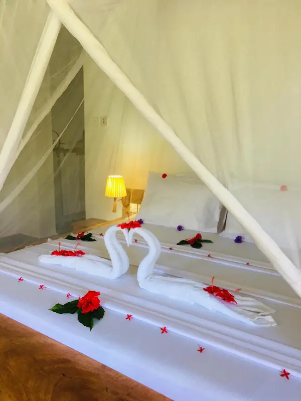 Lit recouvert de pétales et décoré de serviettes en forme de cygnes dans une chambre.