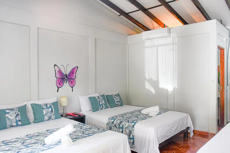 Chambre lumineuse avec deux lits simples et une décoration sobre.