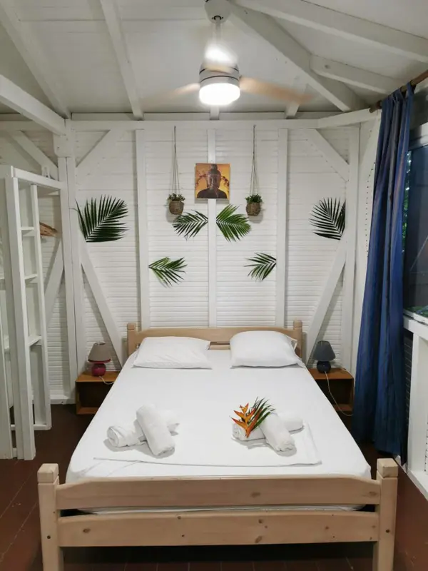 Une chambre lumineuse avec un lit double et une décoration tropicale.