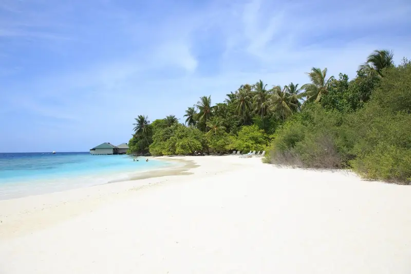 Plage de sable blanc bordée d'une eau turquoise et de végétation luxuriante.